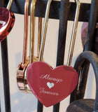 Personalised Engraved Pink Heart Padlock (Long Shackle)